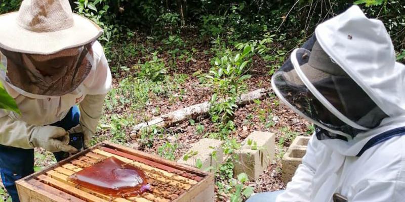 Apicultores reciben asistencia técnica para enfrentar temporada de escasez