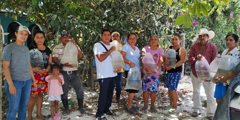 Entrega de más de 100 mil alevines de tilapia impulsa la acuicultura sostenible en Petén