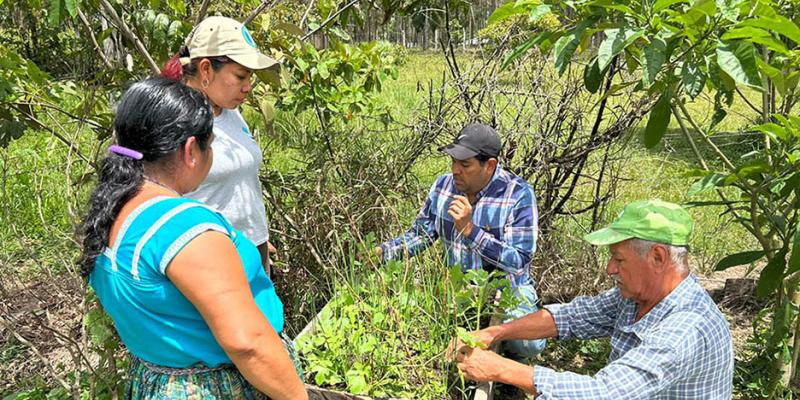 Entregan abono orgánico y brindan apoyo técnico en Poptún