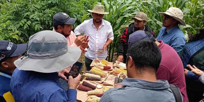 Extensionistas de fortalecen capacidades del Sistema Milpa