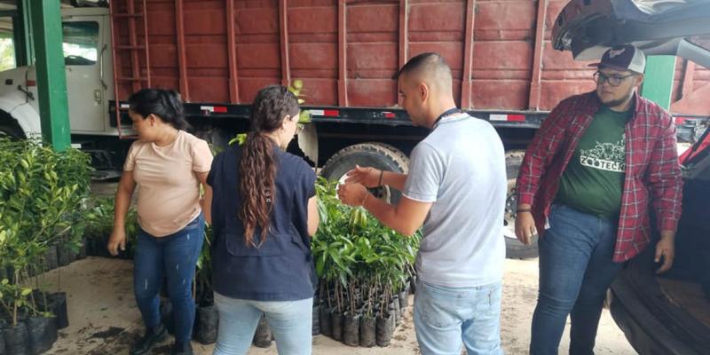 Familias reciben plantas frutales y medicinales para huerto comunal de Zacapa