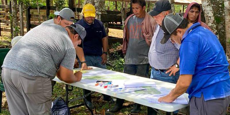 Ganaderos de Petén avanzan hacia una producción sostenible
