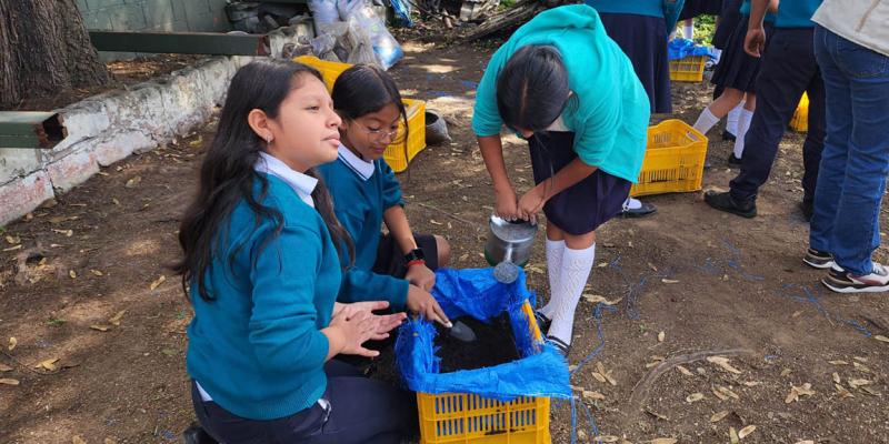 Implementan huerto escolar en escuela urbana capitalina 
