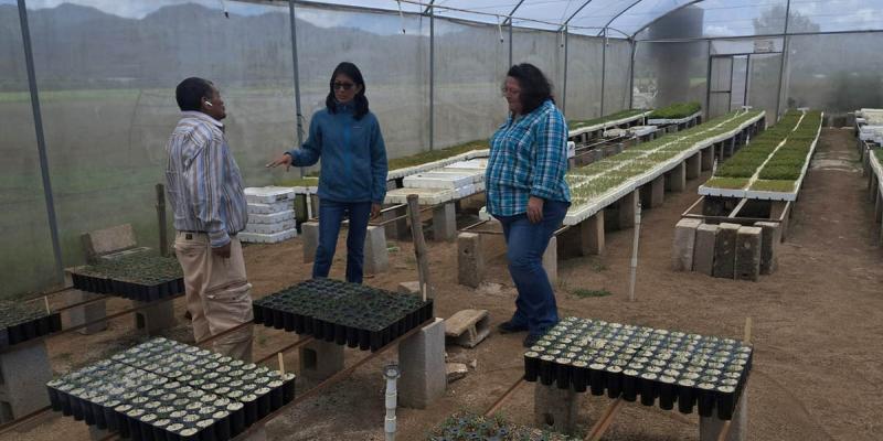Impulsan emprendimiento en procesamiento de frutas