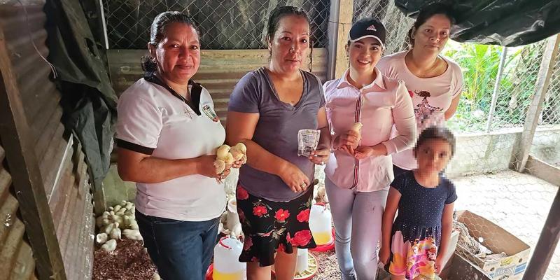 Jornada de vacunación avícola en El Chal