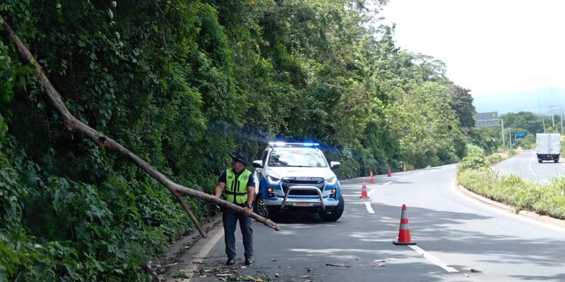 PROVIAL atiende 20 emergencias tras enjambre sísmico en la red vial nacional