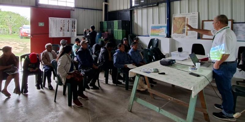 Productores de aguacate aprenden manejo de plagas cuarentenarias