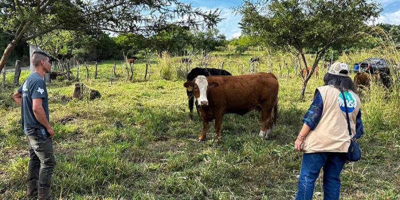 Proteja a sus animales en caso de sismos