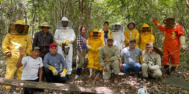 Realizan diplomado en Turismo Apícola 