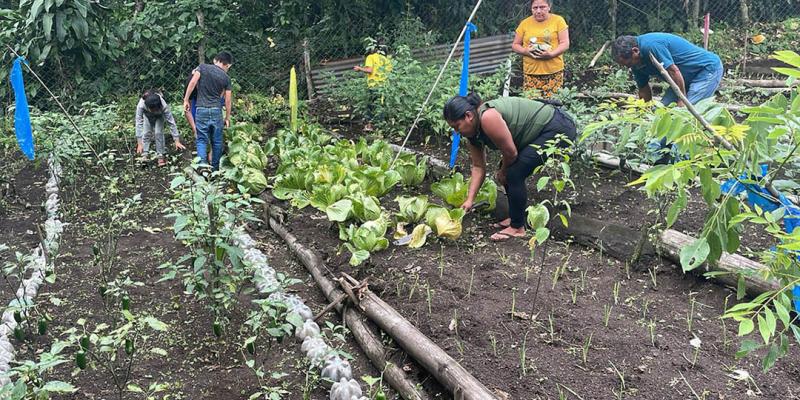 Reciben alimentos por su trabajo en huertos rurales colectivos