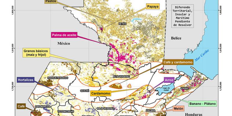 Son monitoreados 320 municipios durante la canícula