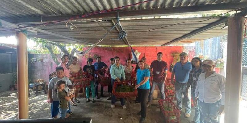 Agricultores Santa Rosa reciben pilones de hortalizas y capacitación en manejo de conejos