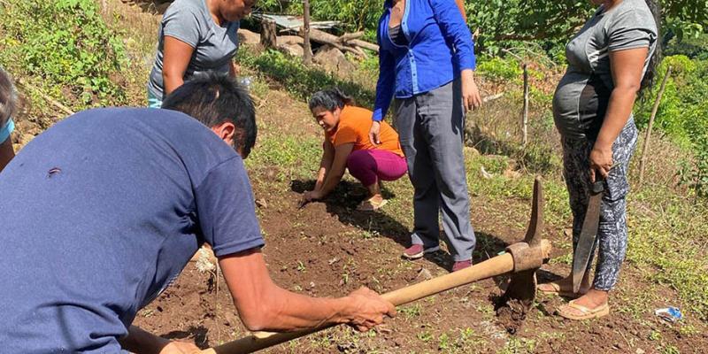 Acciones integrales fortalecen la seguridad alimentaria y nutricional en Santa Rosa