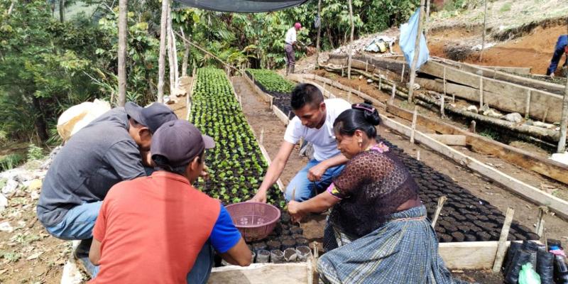Agricultores capacitados en el manejo de viveros de café