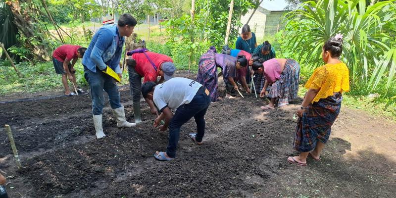 Brindan asistencia técnica de huertos en Sayaxché