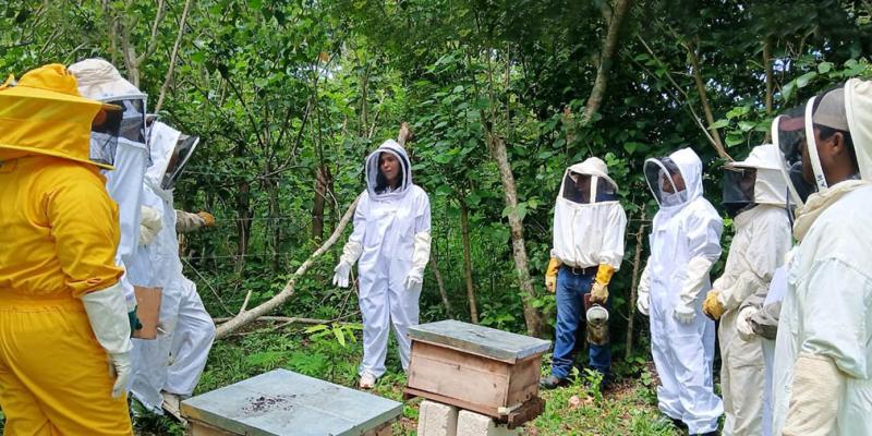 Brindan capacitación en Apicultura Tropical en San Benito, Petén