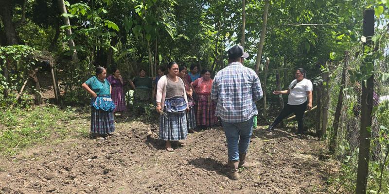 Comunidad de Sayaxché aprende manejo de huerto demostrativo