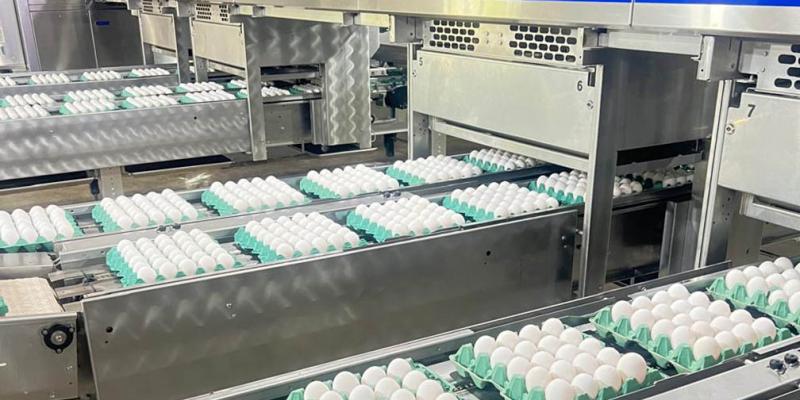 Emitidas 1145 licencias sanitarias de funcionamiento