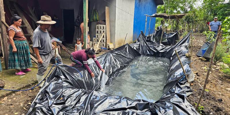 Entrega de alevines apoya producción artesanal de tilapia