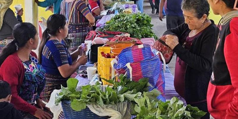 Feria del Agricultor brinda oportunidades comerciales en Baja Verapaz