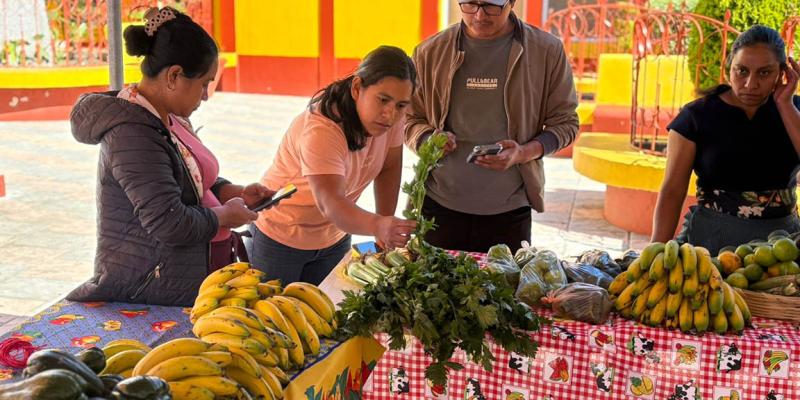 Feria del Agricultor impulsa a los pequeños agricultores de San Marcos