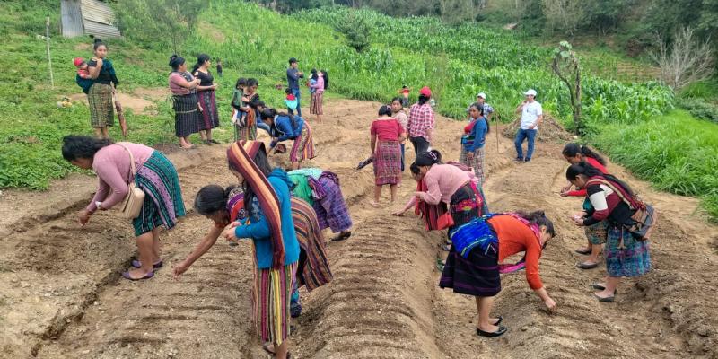 Huerto comunal en Quiché apoyará la seguridad alimentaria