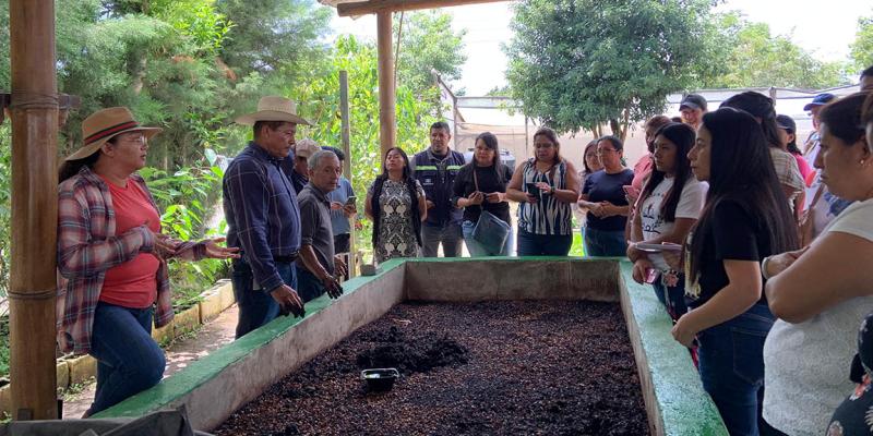 Huertos escolares igual a educación, nutrición y sostenibilidad en las aulas