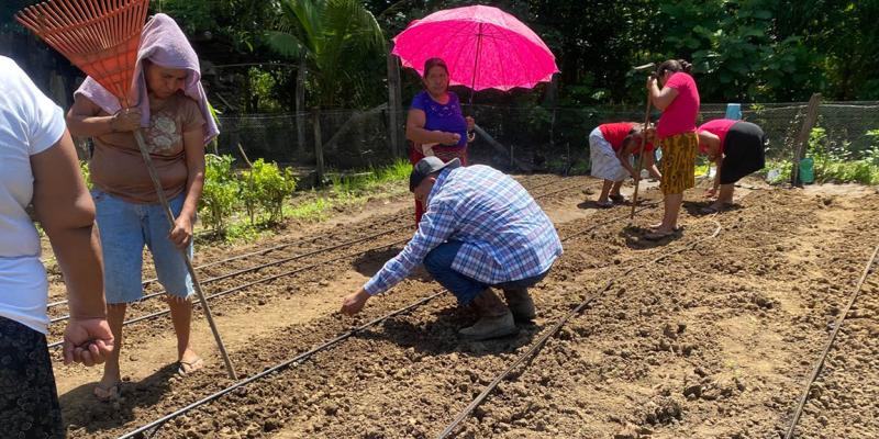 Impulsan cultivos sostenibles con nuevo huerto comunal en Sayaxché