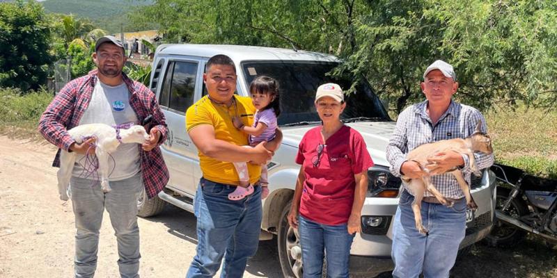 Impulsan mejoramiento genético caprino en Cabañas