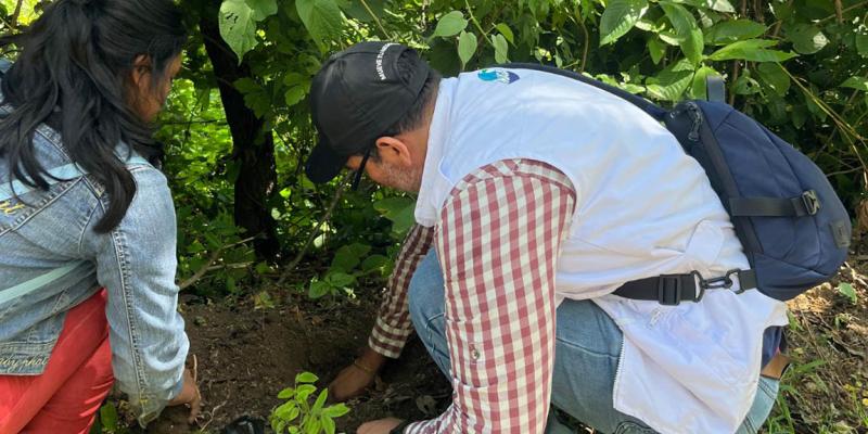 Impulsan recuperación de cobertura vegetal en San José La Arada, Chiquimula