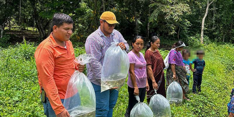 Mujeres de Sayaxché reciben alevines para fortalecer la seguridad alimentaria