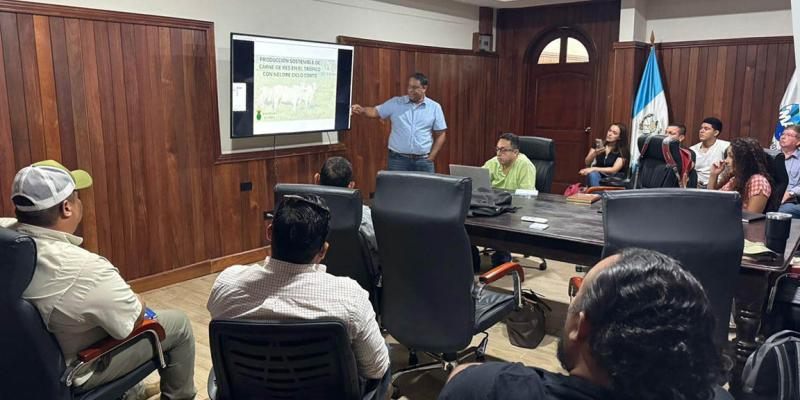 Petén avanza hacia una ganadería más sostenible y productiva