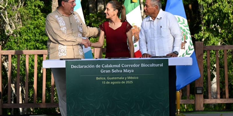 Presidente Bernardo Arévalo, 