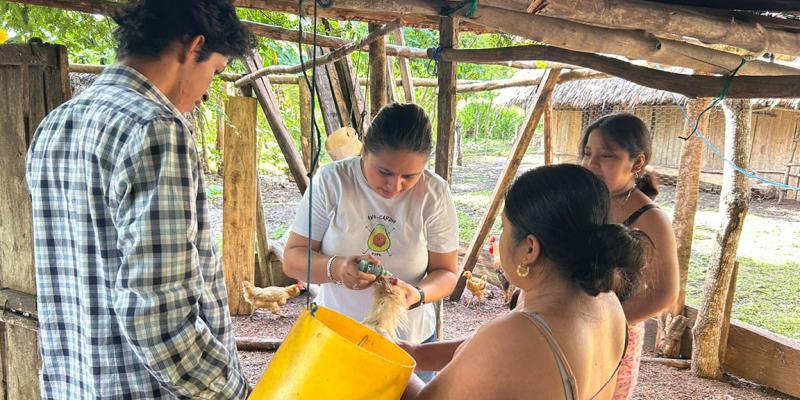 Realizan jornada de vacunación aviar en San Francisco, Petén