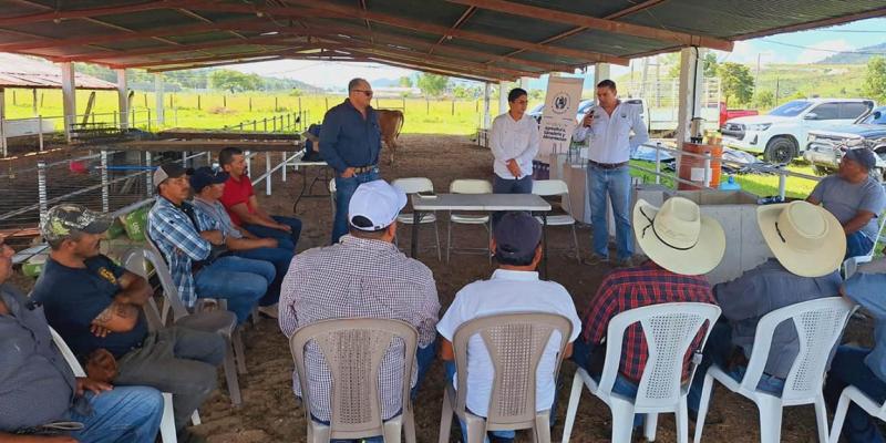 Trabajando en el territorio junto al sector agropecuario de Jalapa  