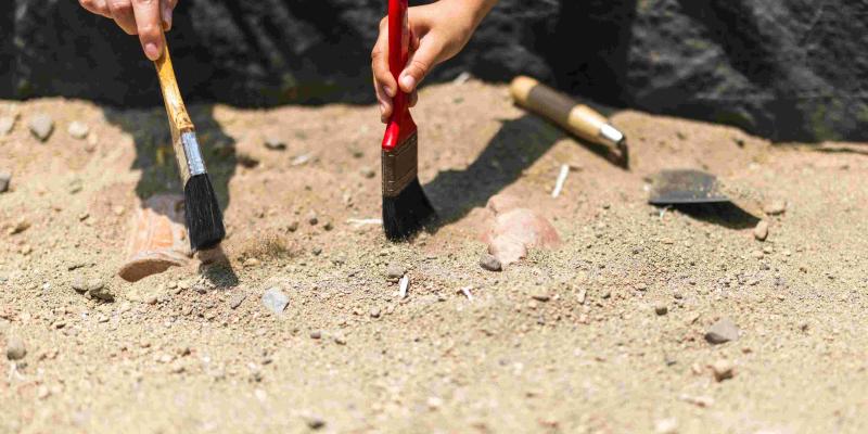 Día del Arqueólogo