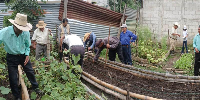 Día de Campo en San Pedro Ayampuc: fortaleciendo las prácticas agrícolas