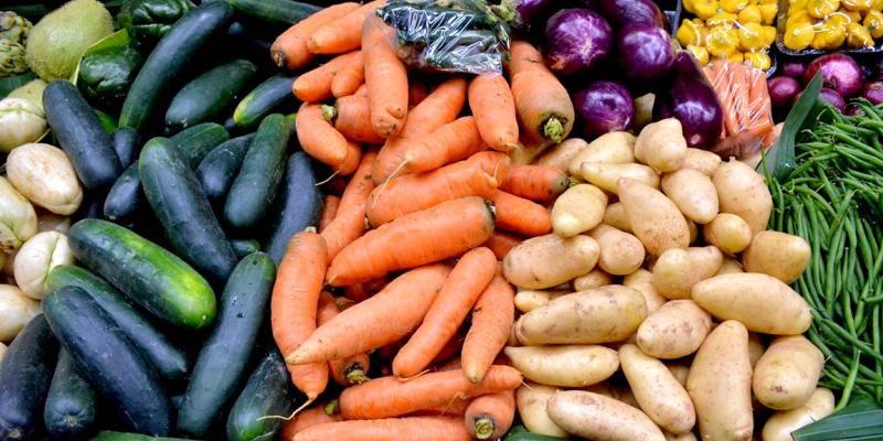 Realizan más de 11 mil gestiones para la importación de productos no procesados