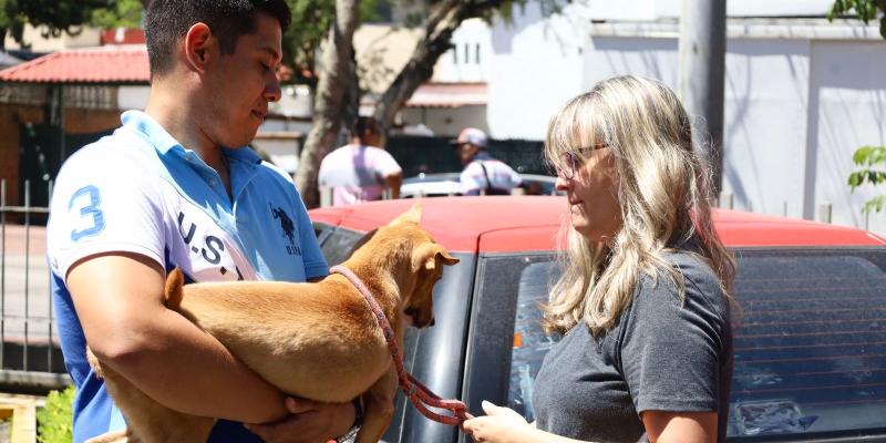 Adoptar un perro es un acto de amor y responsabilidad