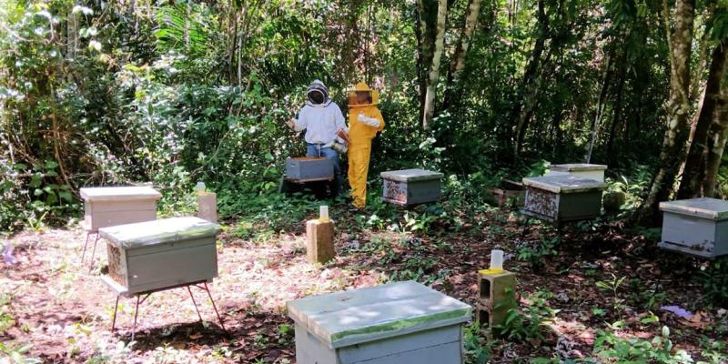 Apicultores peteneros reciben asistencia técnica