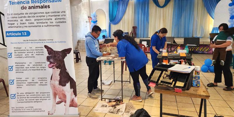Atienden a mascotas afectadas por gusano barrenador en Sacatepéquez