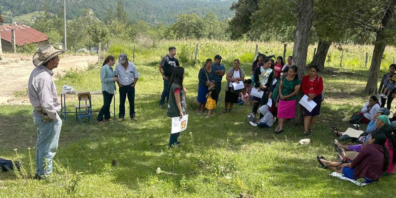 Avances de estrategia Mano a Mano fortalecen agricultura familiar en Guatemala