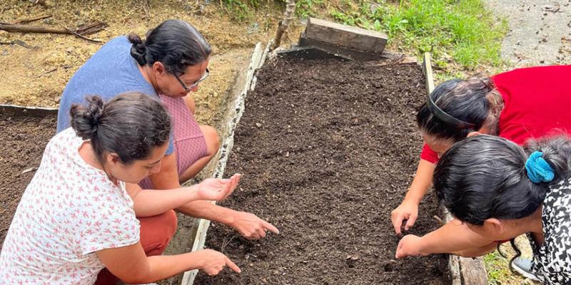 Comunidad de Los Cimientos implementa su primer huerto comunitario