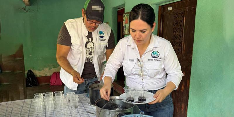 Comunidades participan en prueba de frijol para identificar variedades de mayor aceptación