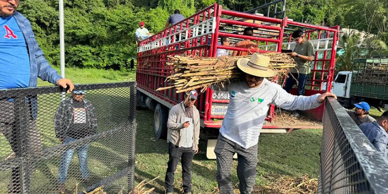 Crece el apoyo a fincas que practican la ganadería sin deforestación