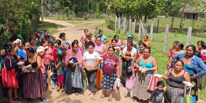 Distribuyen más de 4 mil aves mejoradas en siete municipios de Petén