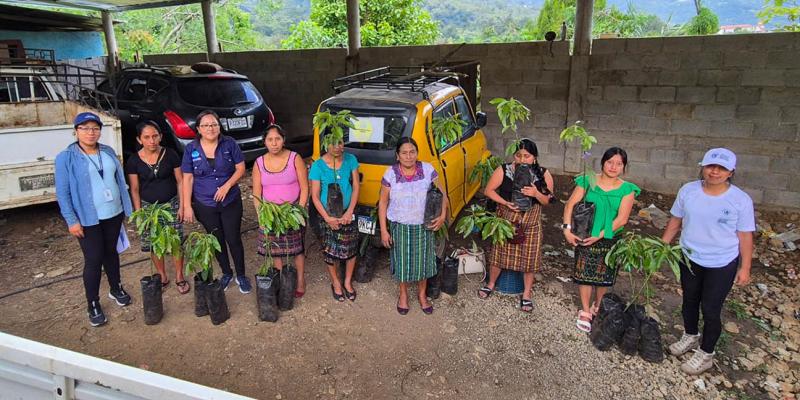 Donación de plantas frutales y semillas fortalece CADER de Huehuetenango 