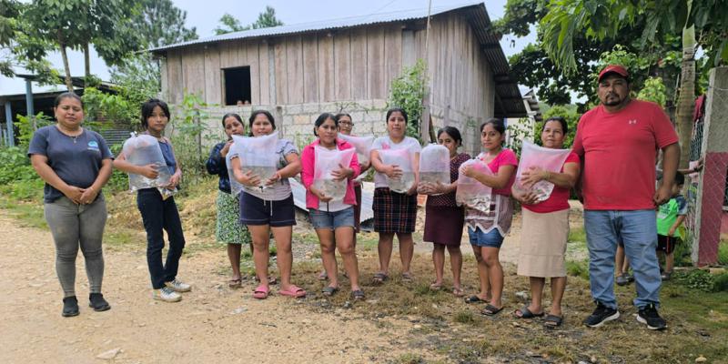 Entregan alevines de tilapia a comunidades de Dolores, Petén
