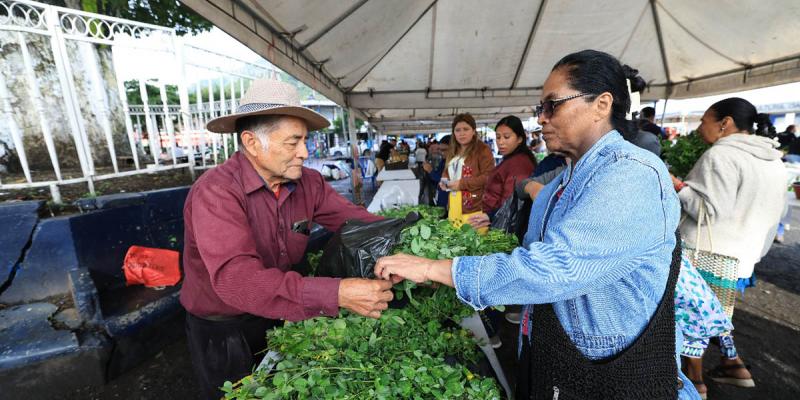 Feria del Agricultor llega a Bárcena, Villa Nueva