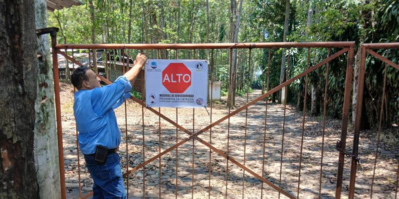 Fortalecen la vigilancia para prevenir influenza aviar en Chimaltenango